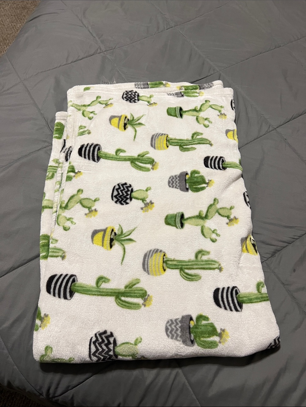 Cozy Cactus Print Plush Throw Blanket - Green & White